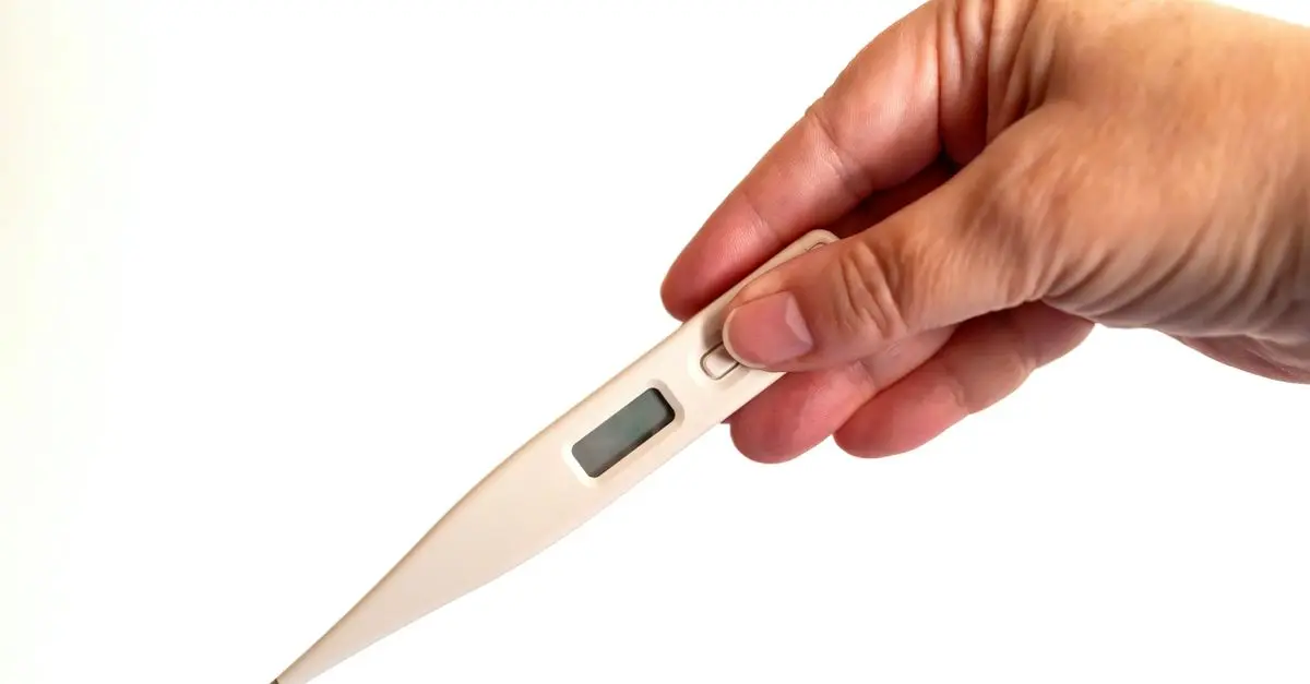 Comparatif : Les meilleurs thermomètres numériques du marché