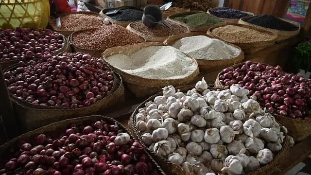 Comment choisir une canne de marche adaptée à vos besoins