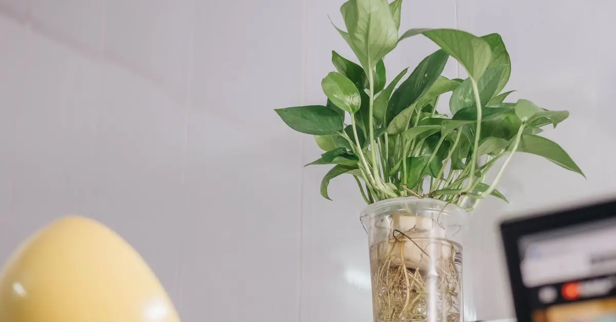 Comment bien choisir un purificateur d'air médical pour votre santé