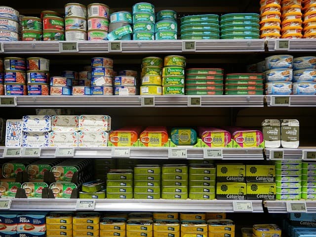 Comment choisir une canne de marche adaptée à vos besoins