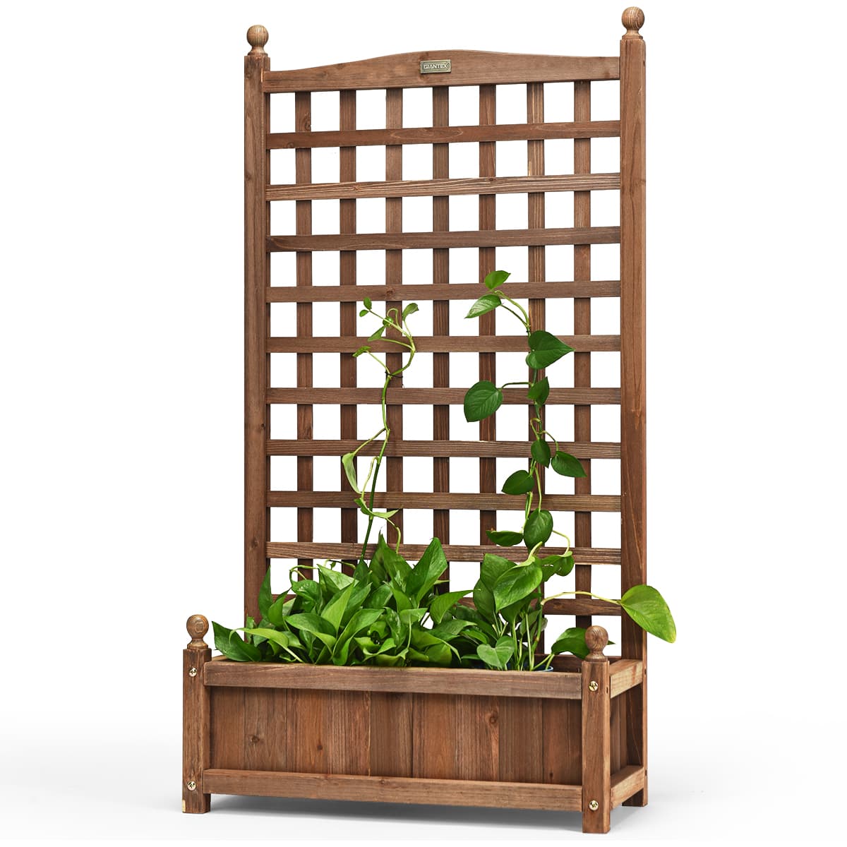 CostwayJardinière avec Treillis en Bois de Sapin Bac à Fleurs avec Roues Verrouillables et Trou de Drainage 64x28x127cm